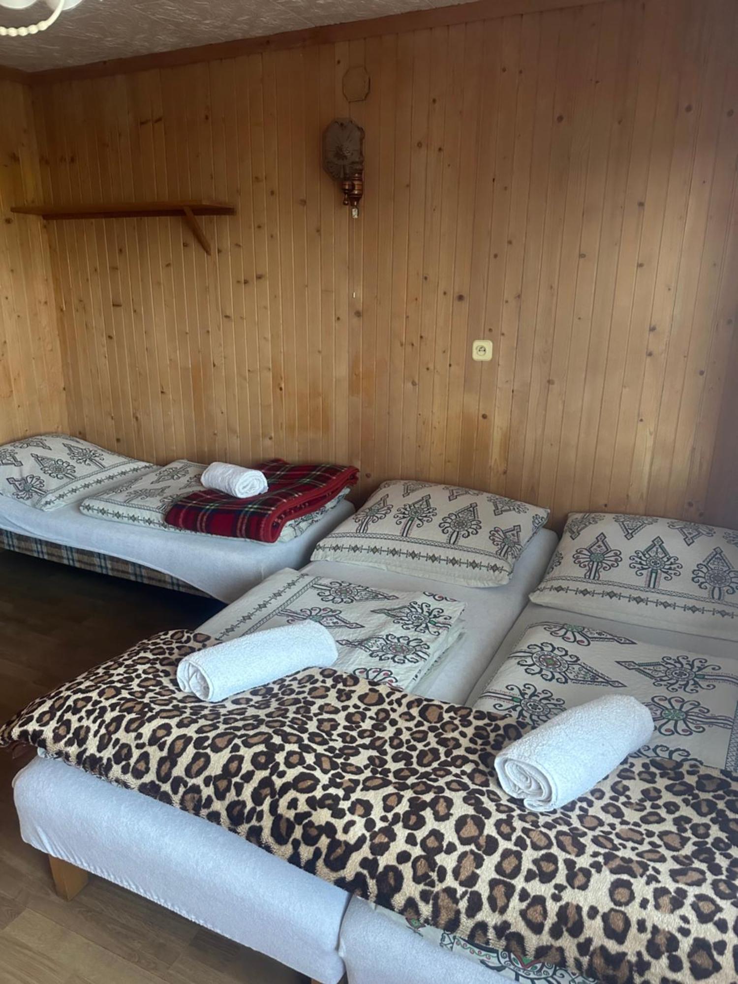 Pokoje Goscinne U Zofii Bukowina Tatrzanska Exterior photo