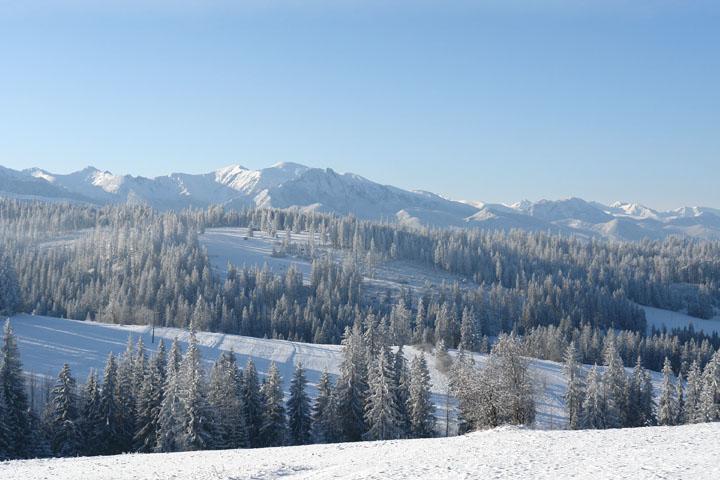 Pokoje Goscinne U Zofii Bukowina Tatrzanska Exterior photo